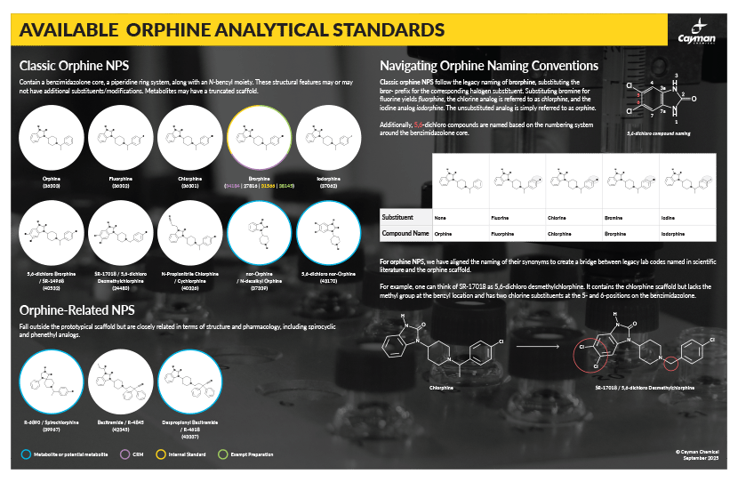 <p>​NPS Snapshot: Orphines<br></p>